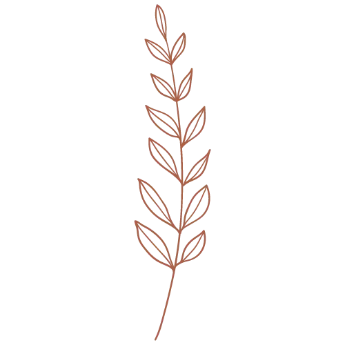 illustration feuilles